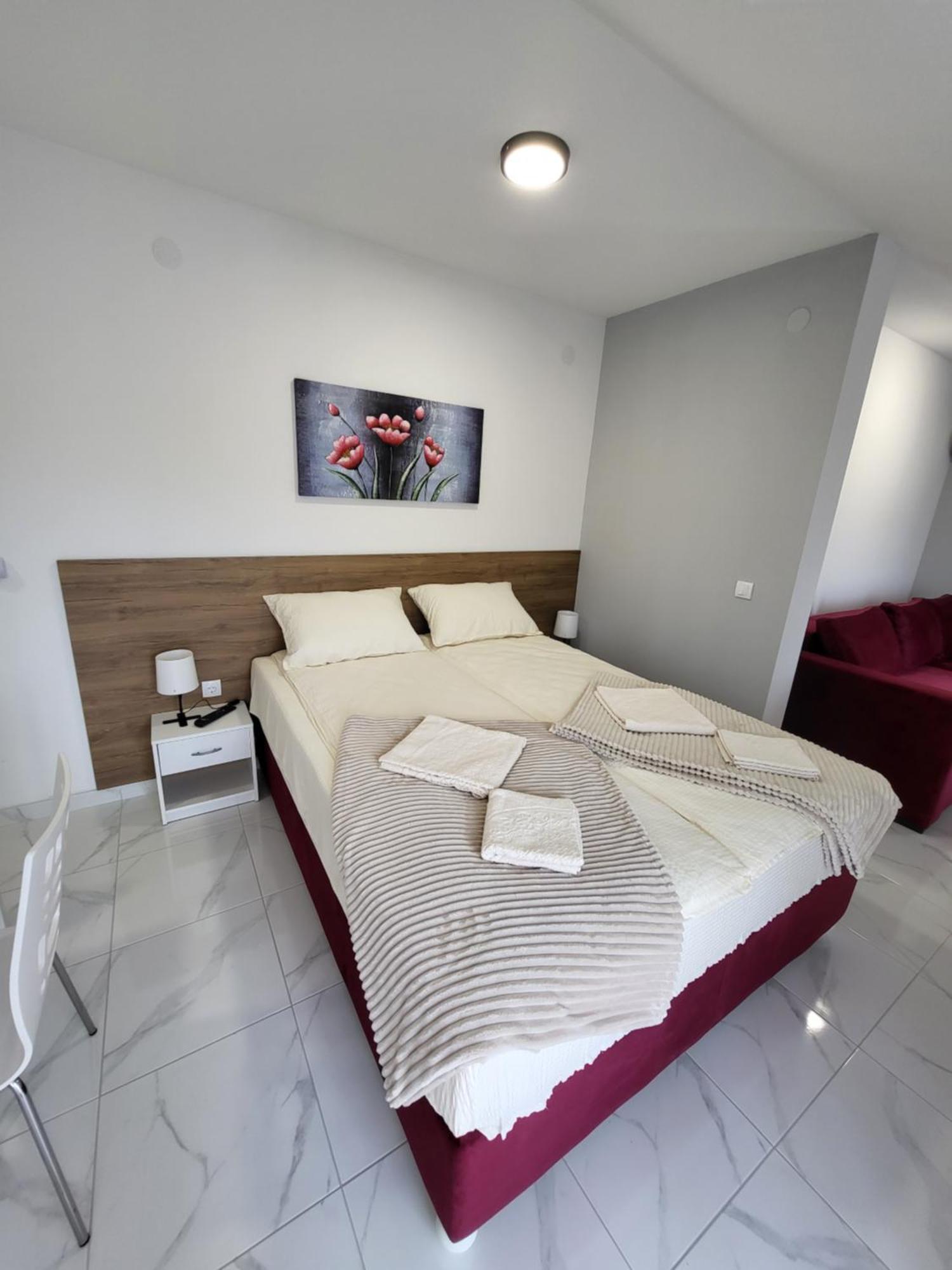 Vila Pcelica Petra ソコバニャ 部屋 写真